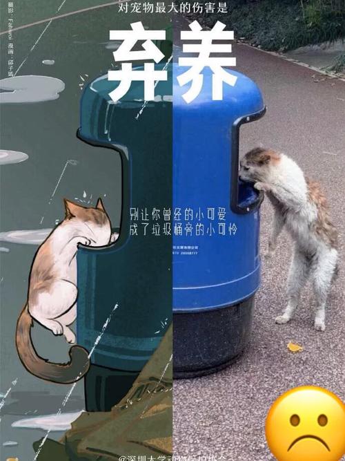 诛心！追梦喷克内克特：你别跟我说屁话 你被交易走后又被送回来