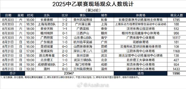 2025中甲联赛现场观众人数统计（第30轮）